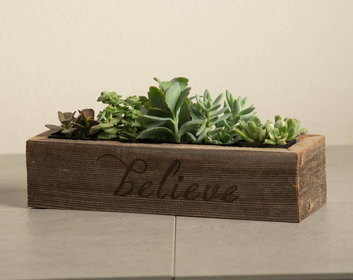Reclaimed Wood Believe Succulent Planter - Medium