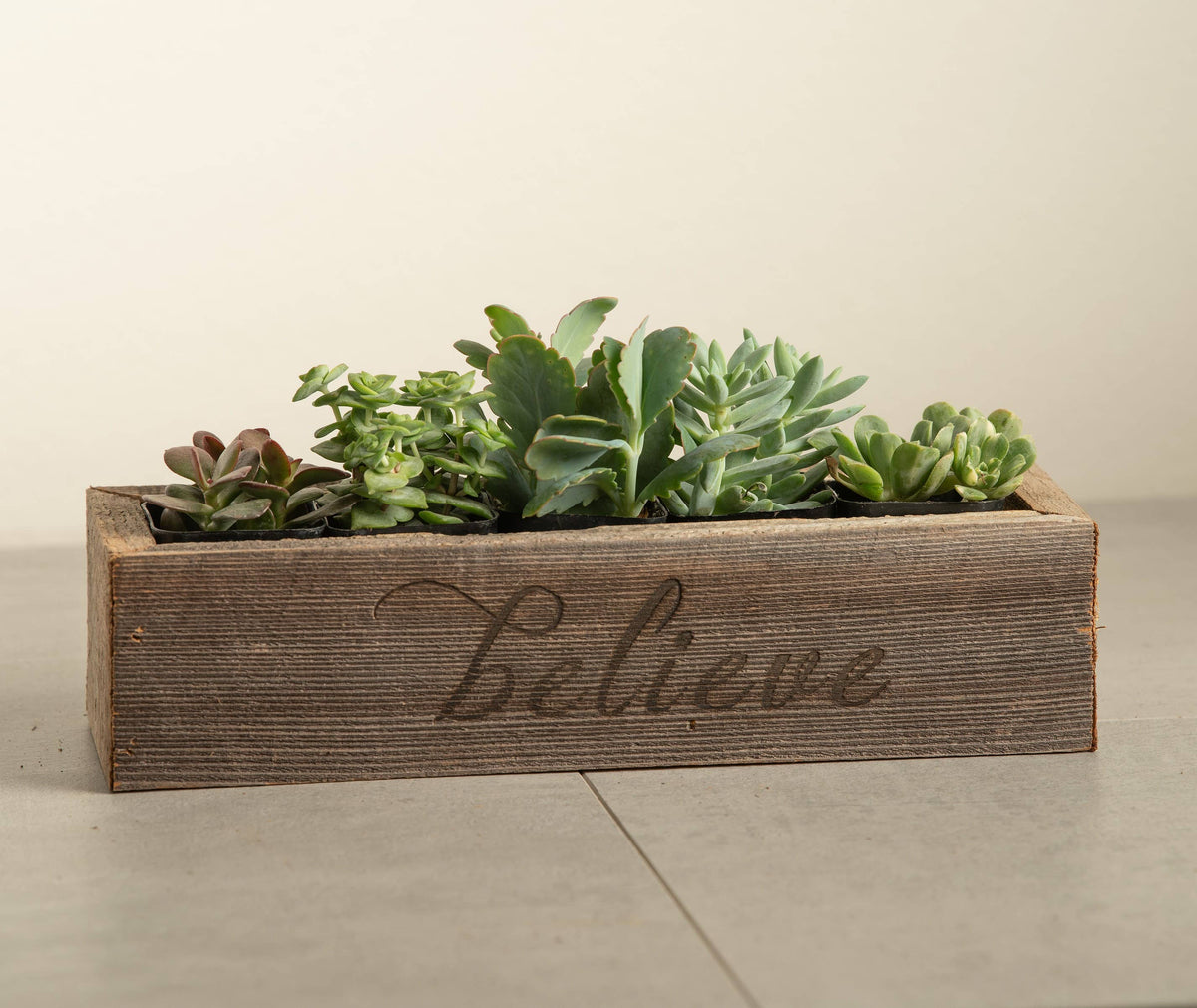 Reclaimed Wood Believe Succulent Planter - Medium