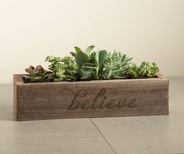A rectangular rustic wooden planter box engraved with the word 'Believe', filled with green succulent plants, set against a neutral beige background.