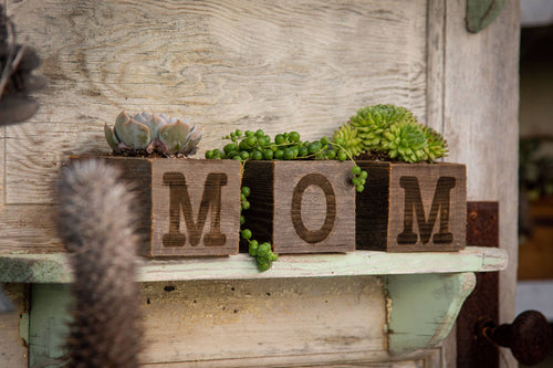Wooden planter with succulents spelling 'MOM' on a rustic wooden surface.