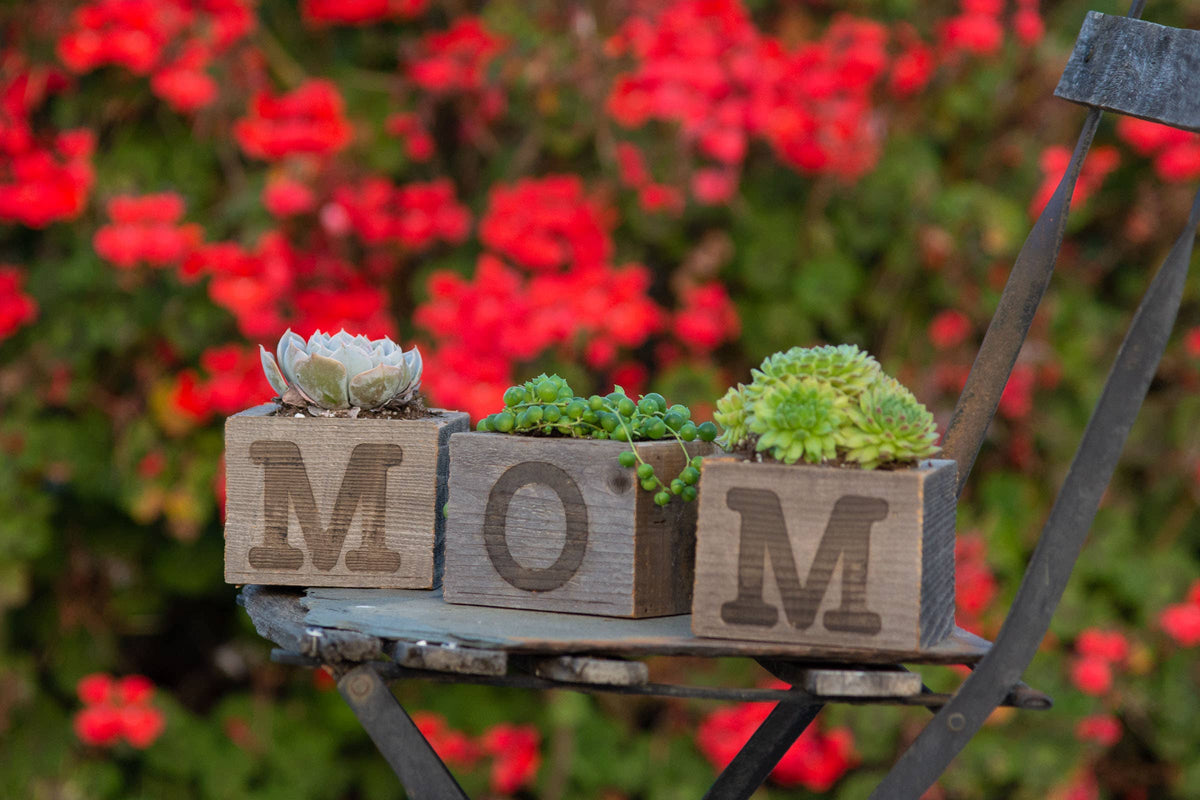 Wooden planters with 'MOM' on a stand against a blurred floral background